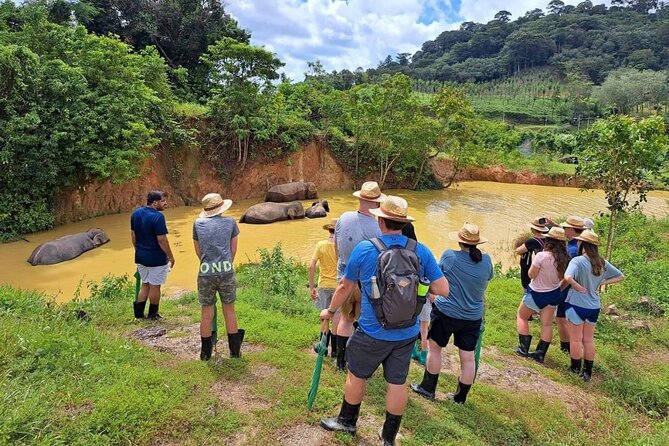 Phuket City Tour & Elephant Sanctuary – Town, Temple, Food & View - Wat Chalong: temple etiquette plus hands-on culture