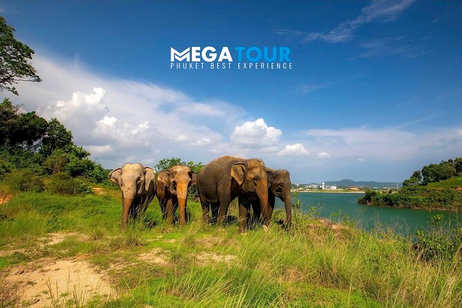 Phuket City Tour & Elephant Sanctuary – Town, Temple, Food & View - Price and value: what $81.47 buys you