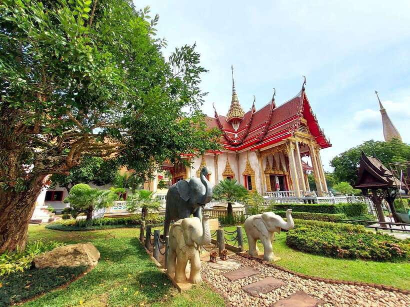 Phuket City Tour with Viewpoints, Temples & Elephant Feeding - Phuket Elephant Care: feeding time, care lessons, and real emotion
