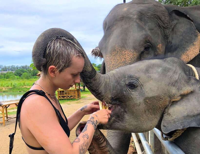 Phuket City Tour with Viewpoints, Temples & Elephant Feeding - Phuket Old Town: Sino-Portuguese streets you can actually enjoy
