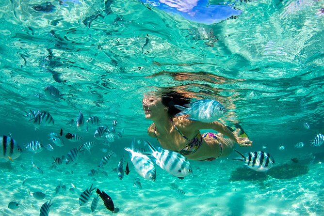 Phuket Coral Island Private Snorkeling Adventure All Inclusive - Key highlights at a glance