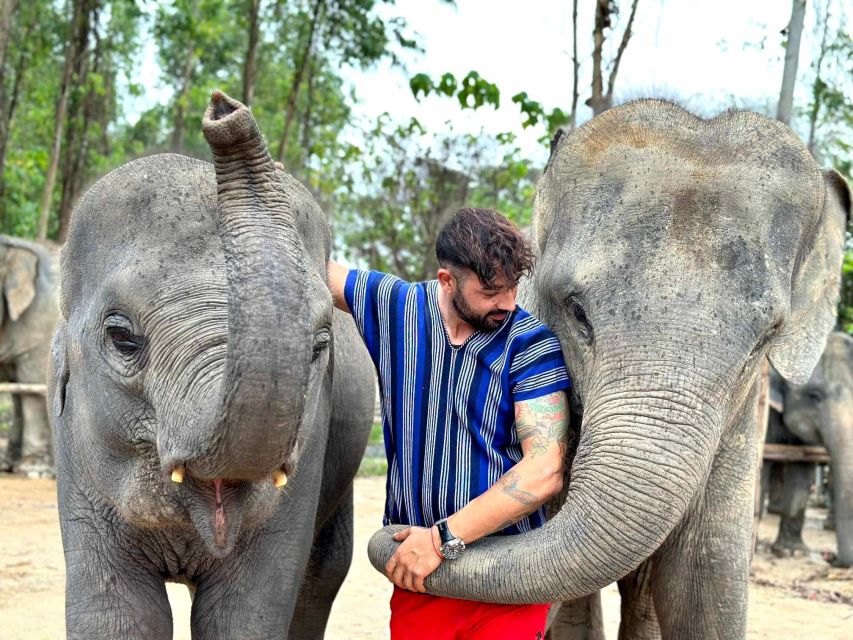 Phuket: Elephant Experience with Lunch or Dinner and Pickup - Kerchor Elephant Family Phuket: what the day is really like