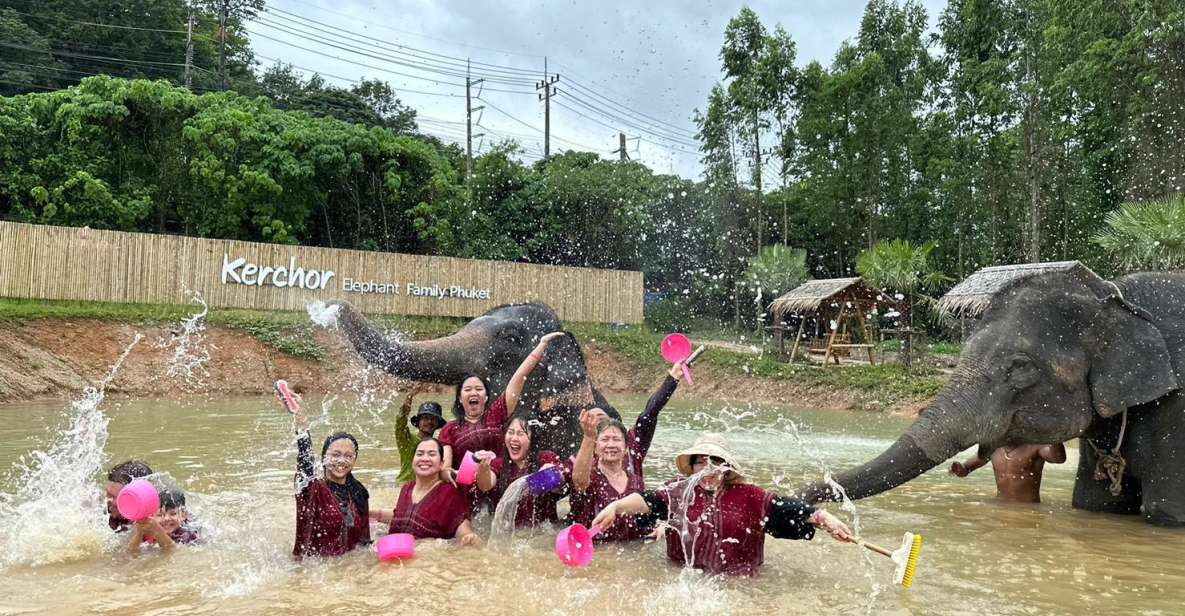 Phuket: Elephant Experience with Lunch or Dinner and Pickup - First contact at the sanctuary: coffee, mahout outfits, and a guide talk