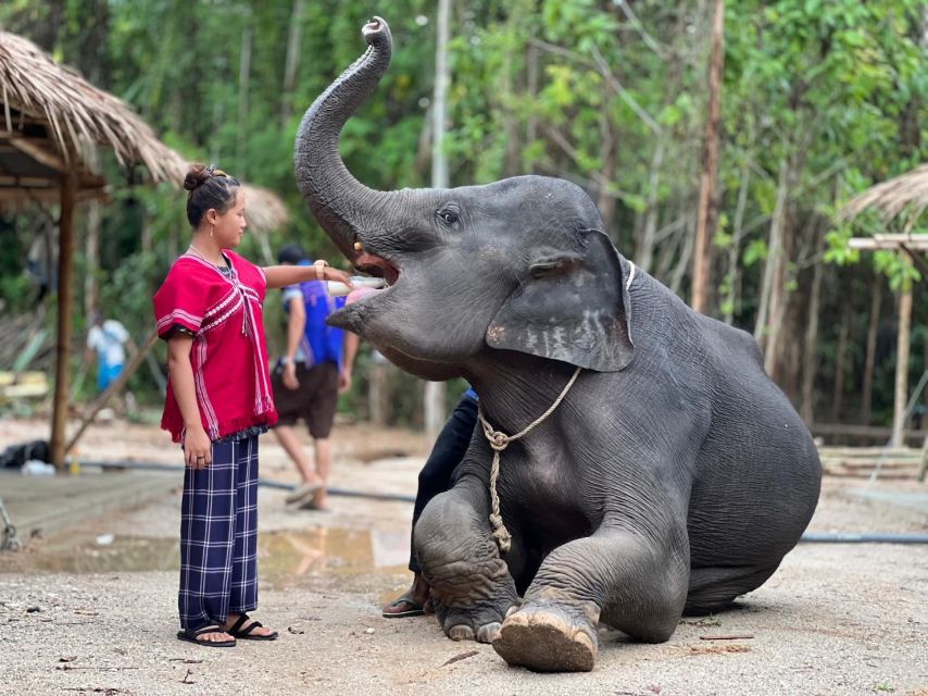 Phuket: Elephant Experience with Lunch or Dinner and Pickup - Karen tie-dye hands-on: your free fabric souvenir