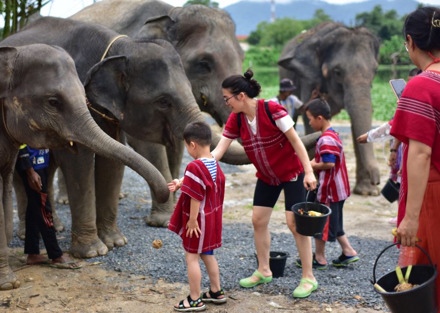 Phuket: Elephant Experience with Lunch or Dinner and Pickup - Warm herbal tea and elephant food prep: what you do before you feed