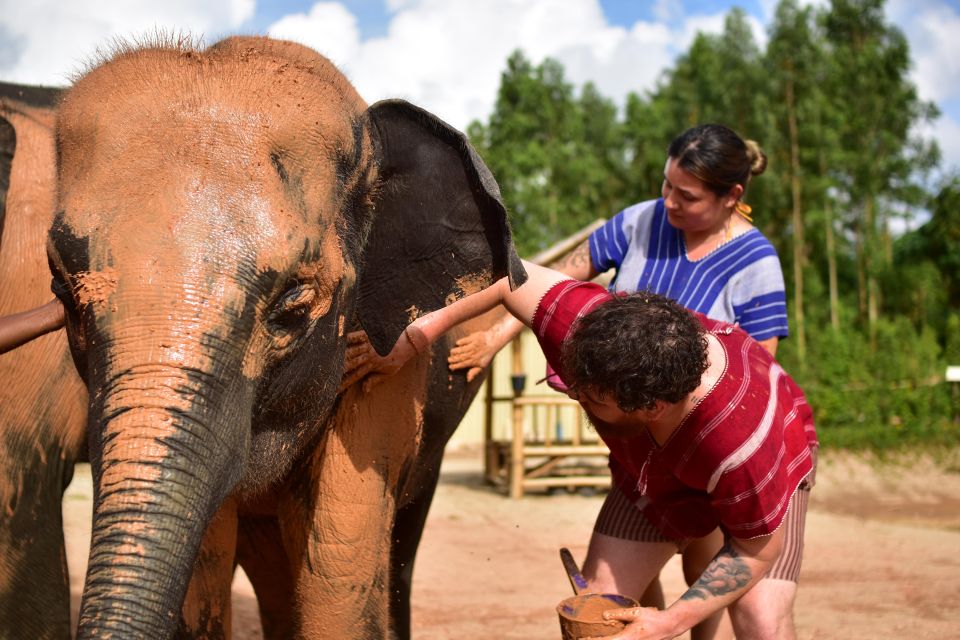 Phuket: Elephant Experience with Lunch or Dinner and Pickup - Thai buffet lunch or dinner: what’s included and what to watch for