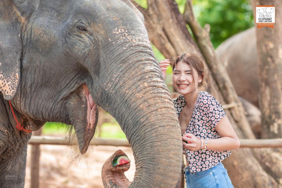 Phuket: Elephant Jungle Sanctuary Ethical Feeding Experience - Key things to know before you go