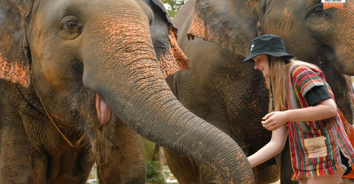 Phuket: Elephant Jungle Sanctuary Ethical Feeding Experience - Elephant Jungle Sanctuary Phuket Feed Me: what makes it different