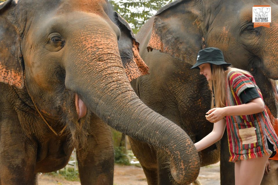 Phuket: Elephant Jungle Sanctuary Ethical Feeding Experience - The 1-hour Feed Me flow: what happens during your walk-through