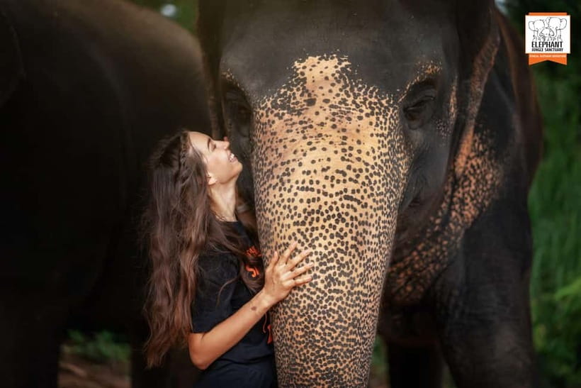 Phuket: Elephant Jungle Sanctuary Ethical Feeding Experience - Up-close feeding, without the common elephant tourist shortcuts