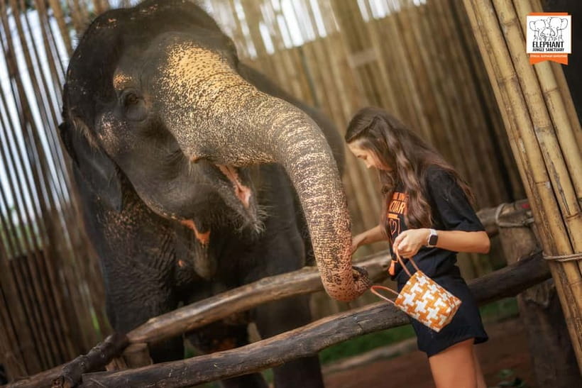 Phuket: Elephant Jungle Sanctuary Ethical Feeding Experience - What’s included: the simple package and why it’s good value