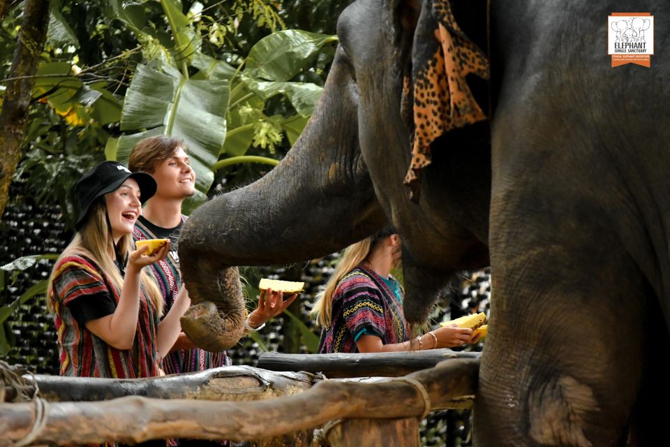 Phuket: Elephant Jungle Sanctuary Ethical Feeding Experience - Meeting at Elephant Jungle Cafe and starting smoothly