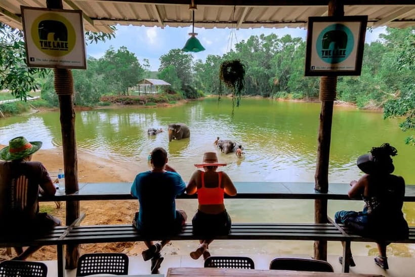 Phuket: Elephant Sanctuary Feed and Bathe Gentle Giants - The “Compassion” Part: What You Should Look For in an Ethical Elephant Day