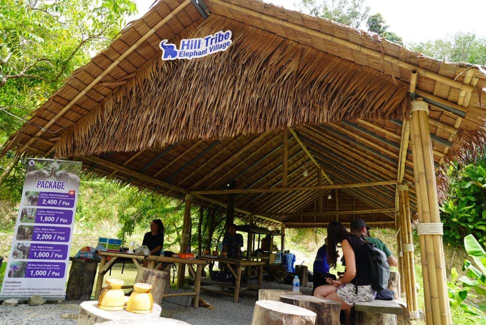 Phuket: Elephant Sanctuary Guided Tour with Hotel Transfers - Key highlights you should know