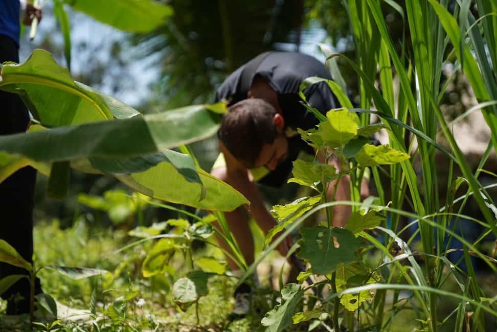 Phuket: Elephant Sanctuary Guided Tour with Hotel Transfers - Should you book Patong Hill Tribe Elephant Village in Phuket?