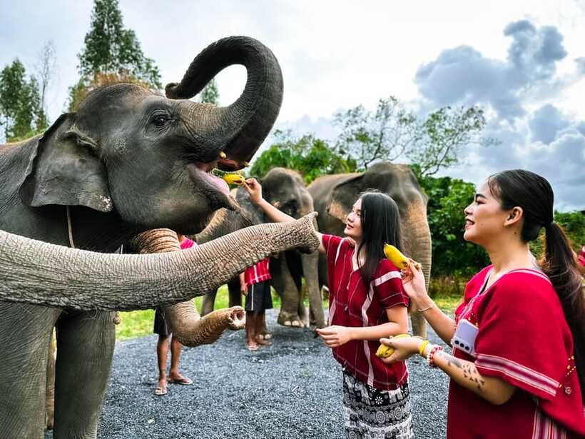 Phuket : Experience feeding and bathing elephants 1.5 Hrs. - Bathing and water play: get ready to be soaked the fun way