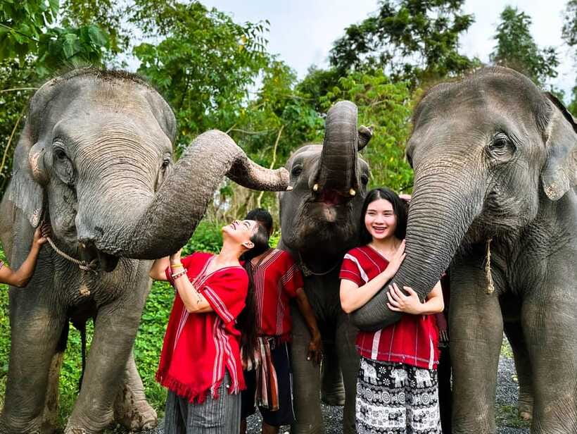 Phuket : Experience feeding and bathing elephants 1.5 Hrs. - Who this tour suits best (and who might want a different option)
