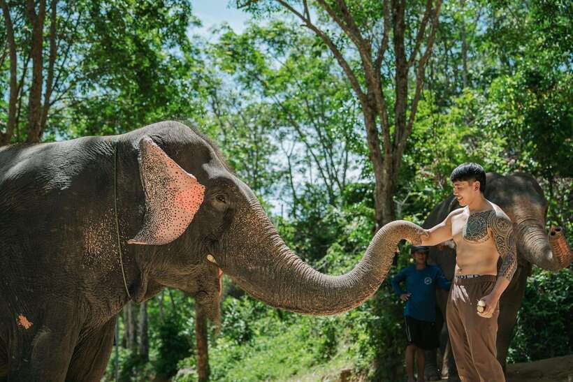 Phuket: Feeding Elephants at Phuket Elephant Care - Fruit snack and the final wrap
