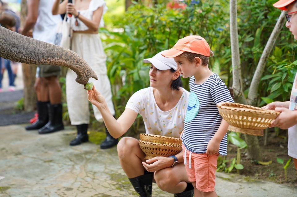 Phuket: Guided Tour to Elephant Sanctuary & Hotel Transfer - Price and Value: What $38 Really Buys You