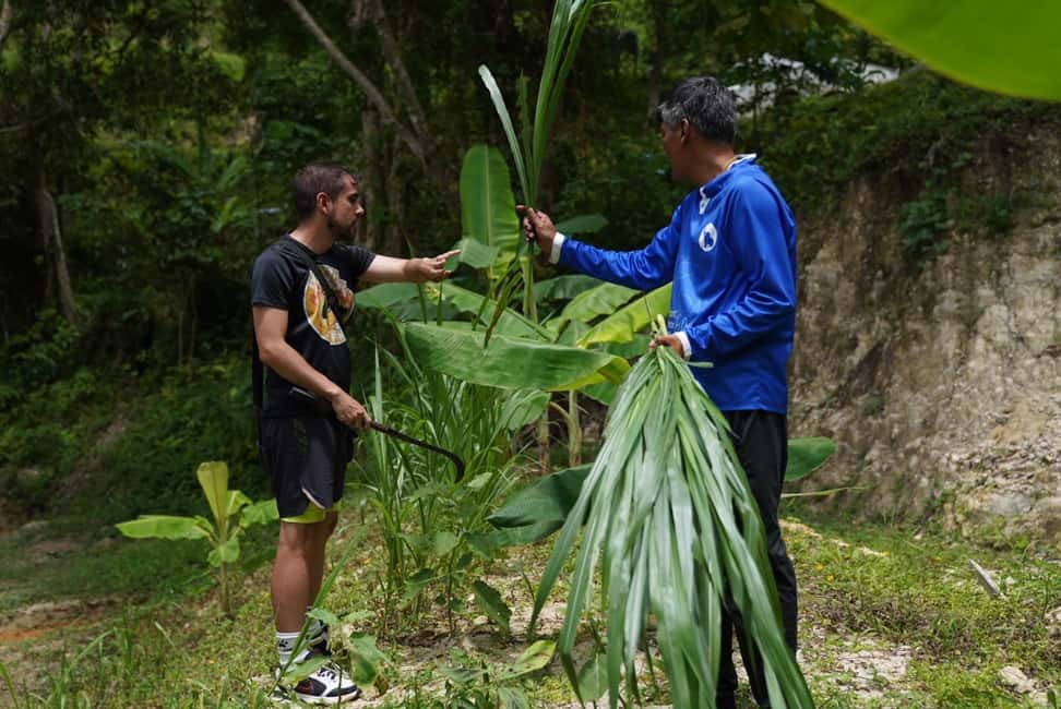 Phuket : Guided Tour to Elephant Sanctuary with Transfers - Transfers and timing: where the van fits in your Phuket day