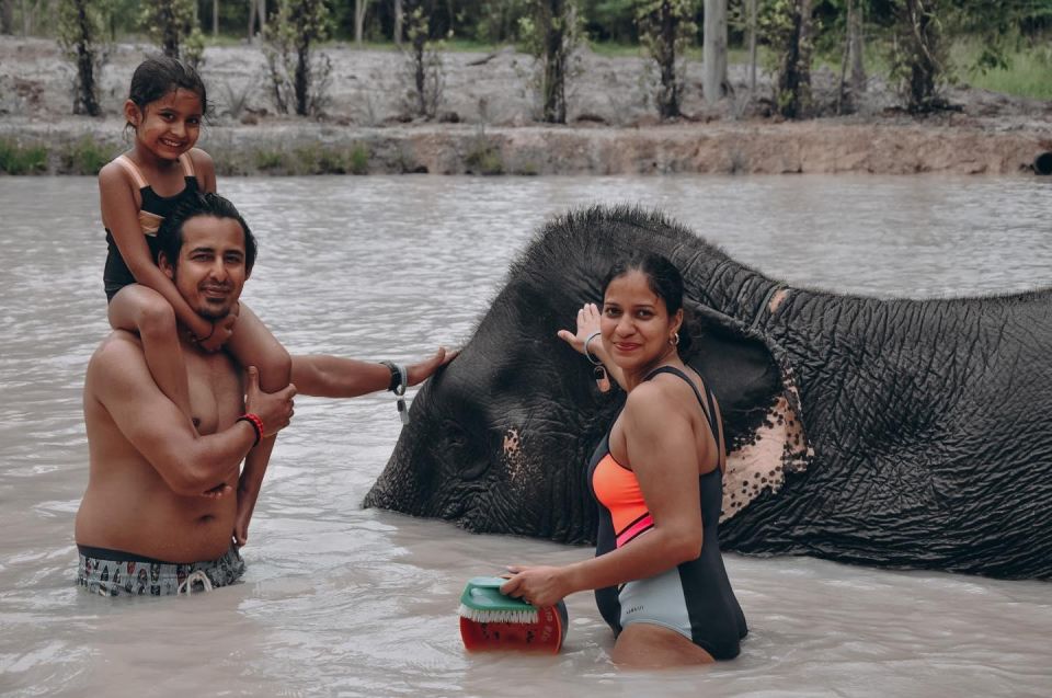 Phuket: Half Day or 2-Hour Ethical Elephant Care Sanctuary - Key highlights worth your attention