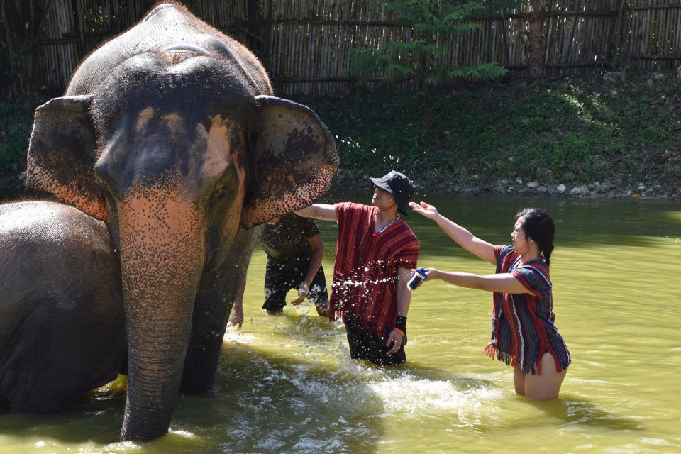 Phuket: Half Day or 2-Hour Ethical Elephant Care Sanctuary - Who should book this, and who should skip it