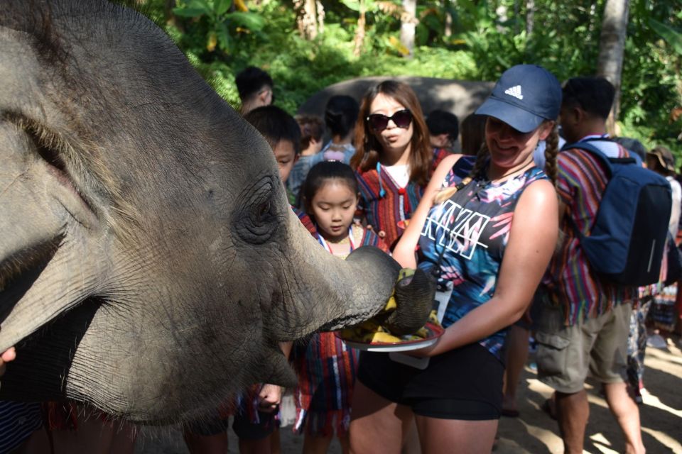 Phuket: Half Day or 2-Hour Ethical Elephant Care Sanctuary - Phuket’s Nai Dee Elephant Care Park: what makes it feel different