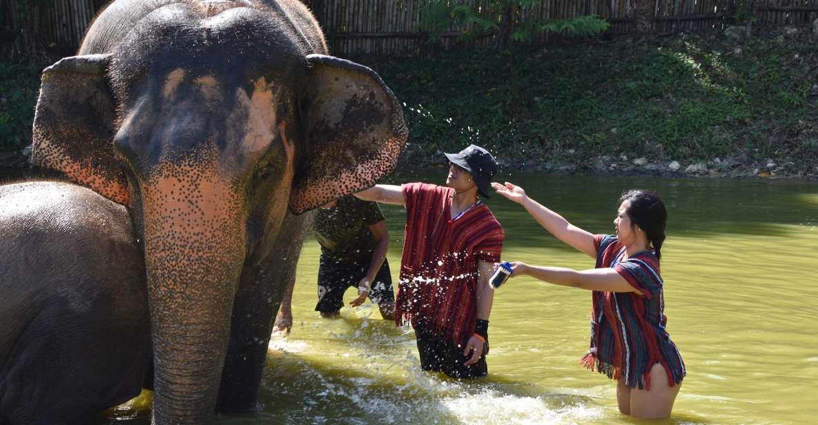 Phuket: Half Day or 2-Hour Ethical Elephant Care Sanctuary - Photos: professional shots are part of the deal