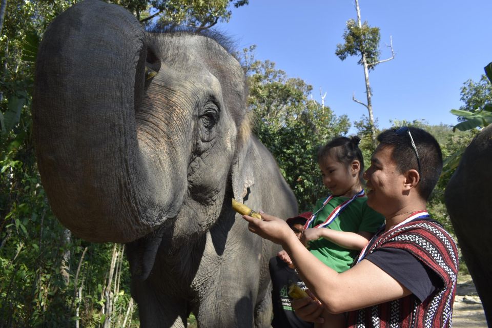 Phuket: Half Day or 2-Hour Ethical Elephant Care Sanctuary - Transfers in Phuket: shared pickup time can be the real schedule villain