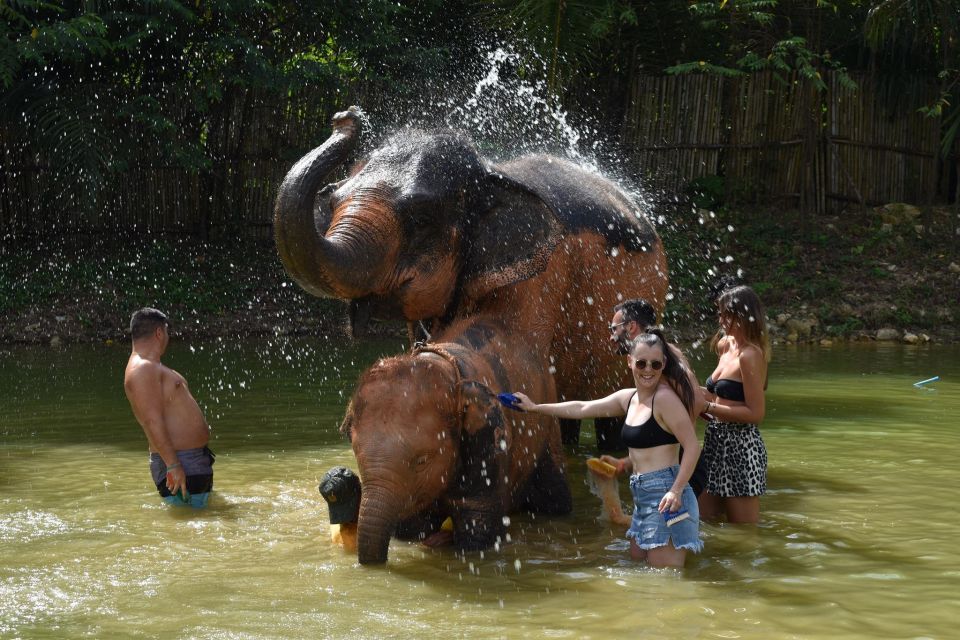 Phuket: Half Day or 2-Hour Ethical Elephant Care Sanctuary - Option A half-day: feeding, mud spa, and bathing (the full experience)