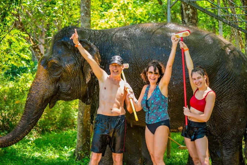 Phuket: Happy Hour Feed and Rain Shower with Elephant - Key takeaways before you go