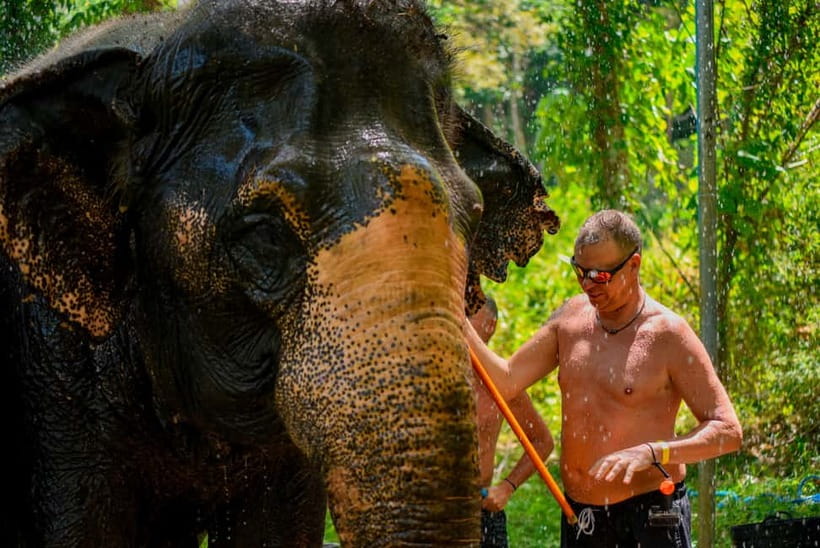 Phuket: Happy Hour Feed and Rain Shower with Elephant - What’s included: the real value of this package