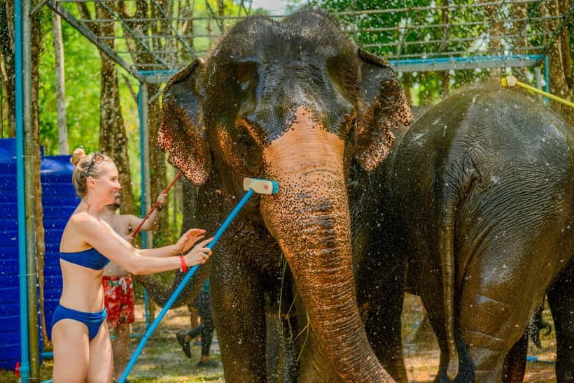 Phuket: Happy Hour Feed and Rain Shower with Elephant - Who this experience suits best