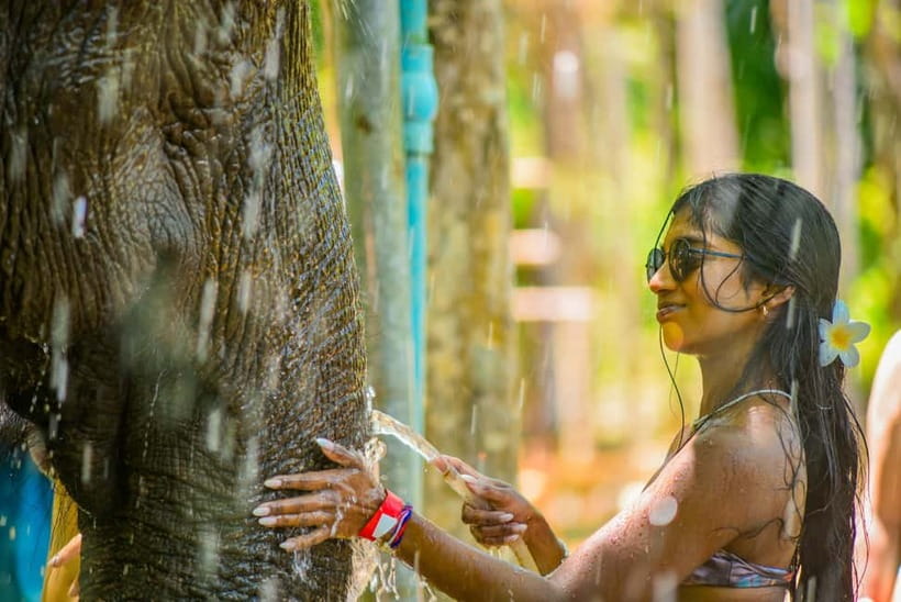 Phuket: Happy Hour Feed and Rain Shower with Elephant - Check-in timing: your real success factor