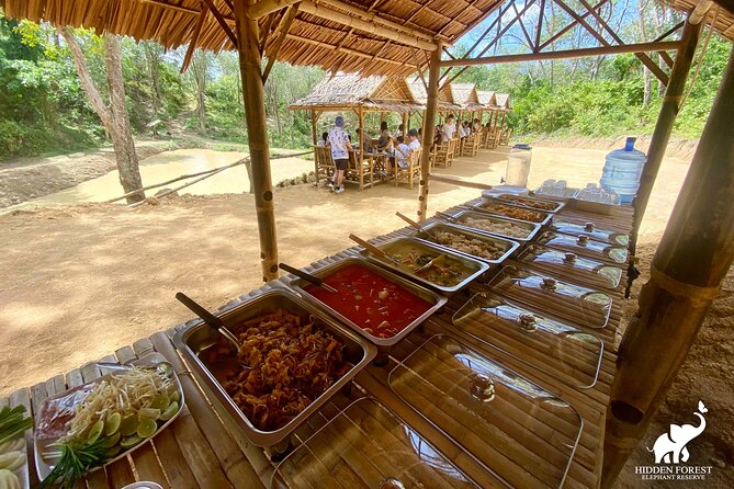 Phuket: Hidden Forest Elephant Reserve Guided Tour with Lunch - Price and value in Phuket: where the $99 goes