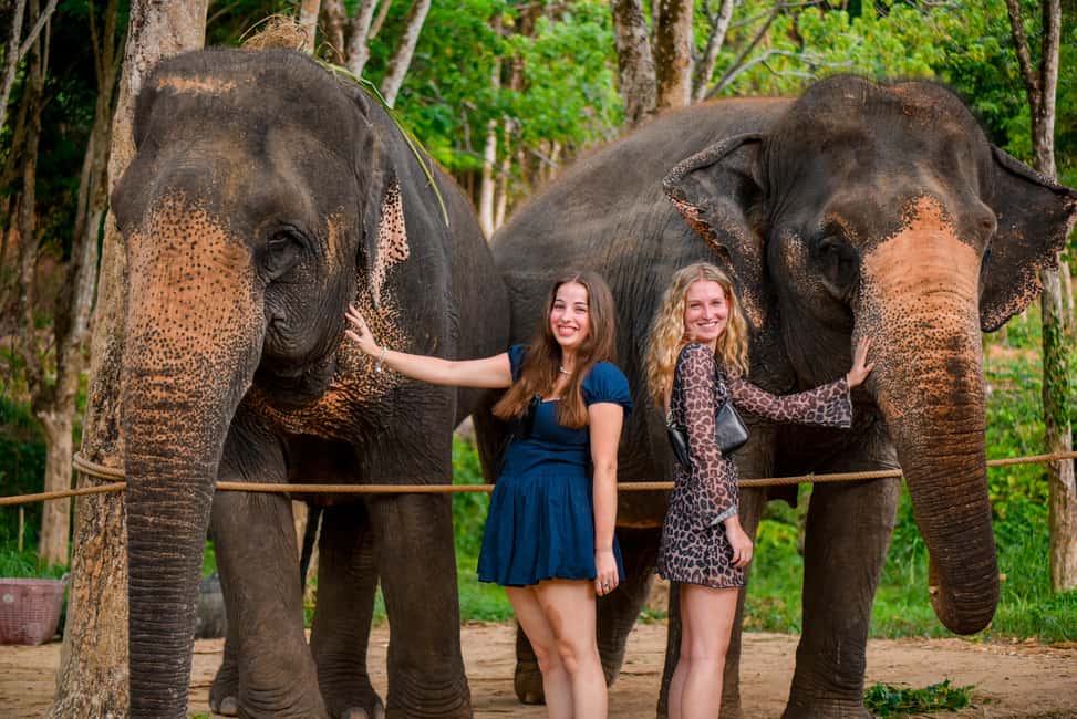Phuket: Make & Meet The Gentle Giant Experience - Key Things I’d Put on Your Radar