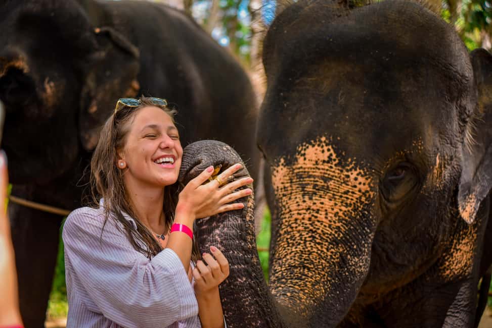 Phuket: Make & Meet The Gentle Giant Experience - Wildlife Viewing for 2.5 Hours: More Than a Quick Look