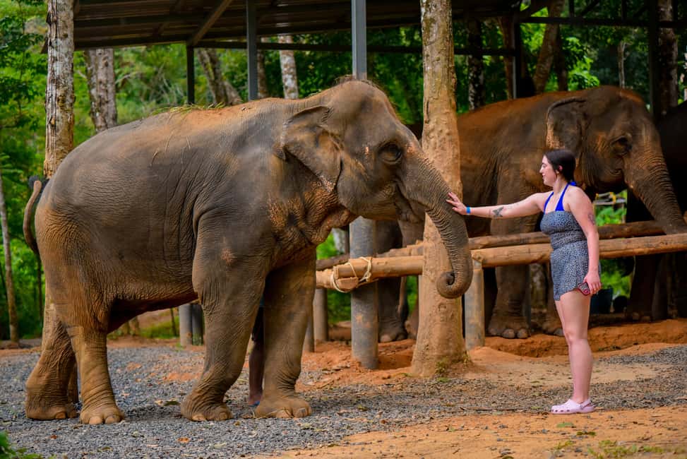 Phuket: Make & Meet The Gentle Giant Experience - Who Should Book This Vitamin Ball Day