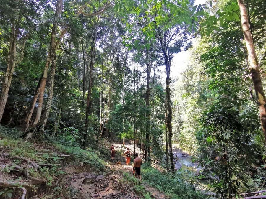 Phuket: Monkey Cave, Water Rafting, Zipline with ATV Option - Lunch at the camp, then a mini-trek and downtime planning