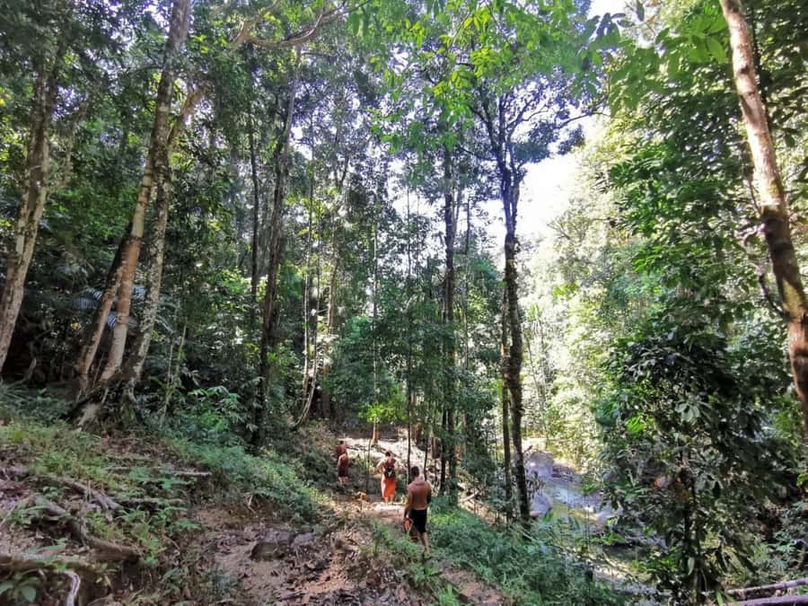 Phuket: Monkey Cave, Water Rafting, Zipline with ATV Option - Price and value: is $44 fair for this mix?