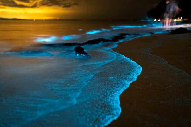 Phuket: Phang Nga Bay Bioluminescent Plankton and Sea Canoes tour - Koh Phanak Caves (Diamond Cave / Mangrove Cave): The Walking Part That Feels Like a Movie
