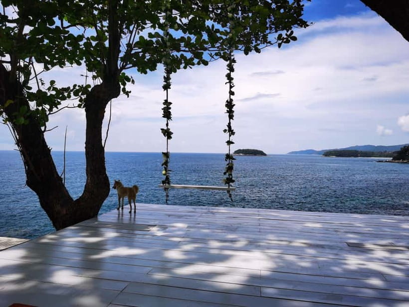 Phuket: Rock Beach Swing Entry Ticket - Bird’s Nests and photo spots: why this corner of Phuket feels different