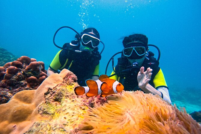 Phuket Scuba Diving: Racha Island Or Maiton Island For All Levels - Key Points You’ll Feel During Your Trip