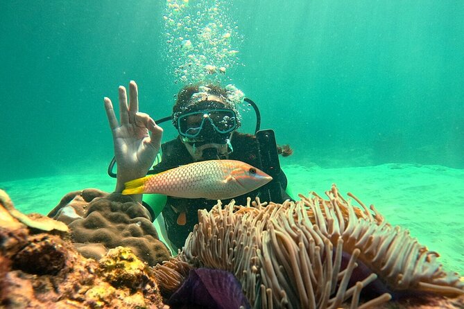 Phuket Scuba Diving: Racha Island Or Maiton Island For All Levels - Ko Mai Thon, Racha Yai, Racha Noi, and Coral Island: your day by stop
