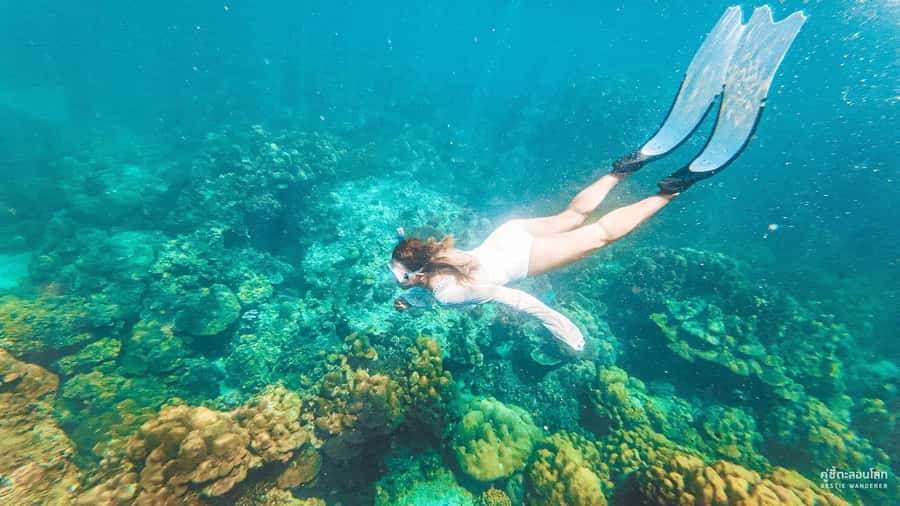 Phuket: Speedboat Day Trip to Phi Phi and Maya Bay - Key things I’d prioritize before you go