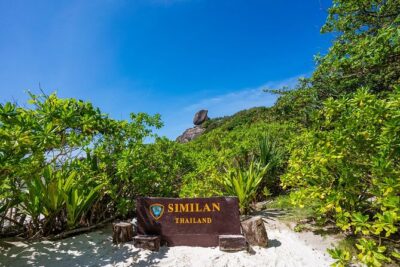 Phuket to Similan Islands Snorkeling Tour - Breakfast, Gear Fitting, and the English-Speaking Crew