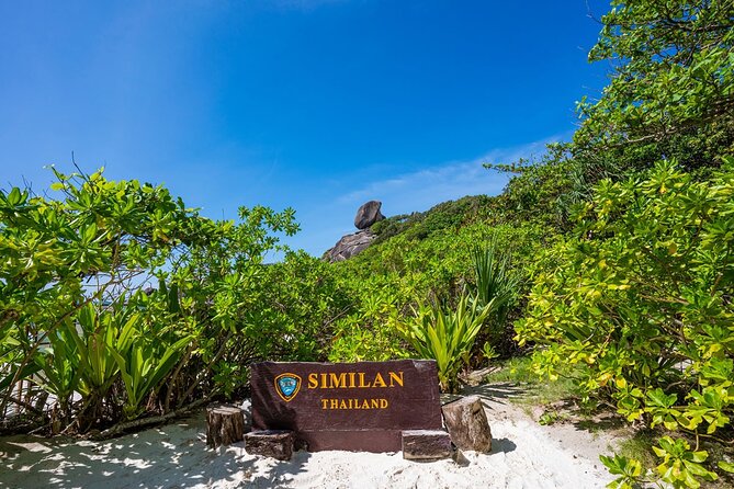 Phuket to Similan Islands Snorkeling Tour - Breakfast, Gear Fitting, and the English-Speaking Crew