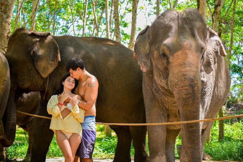 Phuket:Beach walk with elephants, rain & care. 2.5 hours - Lily Elephant Camp on Phuket’s Coast: what makes this sanctuary visit different