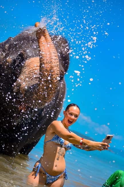 Phuket:Beach walk with elephants, rain & care. 2.5 hours - Who this tour fits best (and who should think twice)