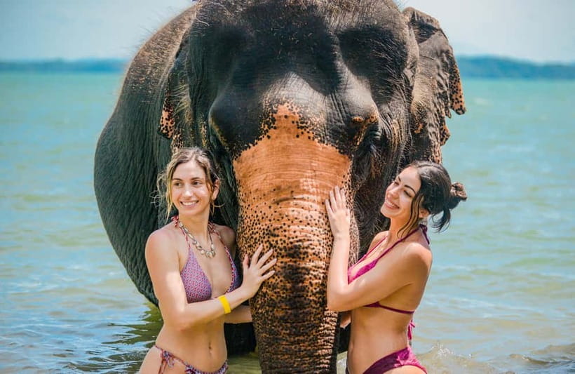 Phuket:Beach walk with elephants, rain & care. 2.5 hours - The 2.5-hour rhythm: jungle walk, feeding, and “care” that feels real